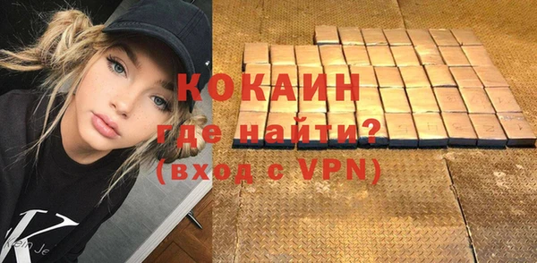 хмурый Белокуриха