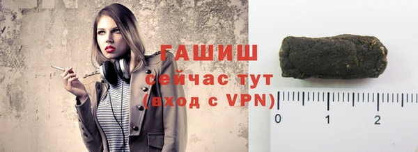 хмурый Белокуриха