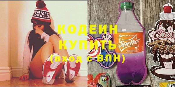 хмурый Белокуриха