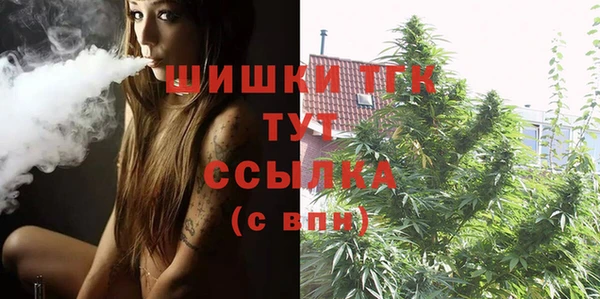 хмурый Белокуриха