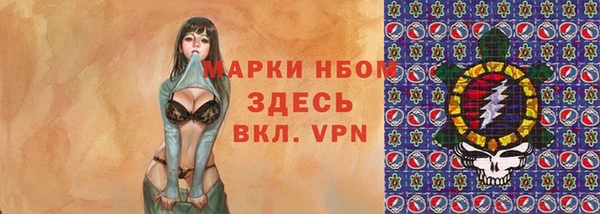 хмурый Белокуриха